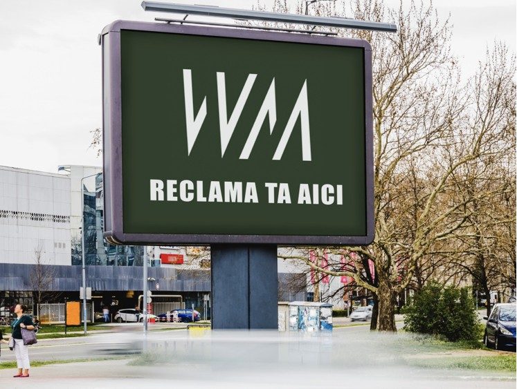 Outdoor Vision SRL, Way Media și familia Vasilescu – legătura directă cu steagurile publicitare ilegale din București