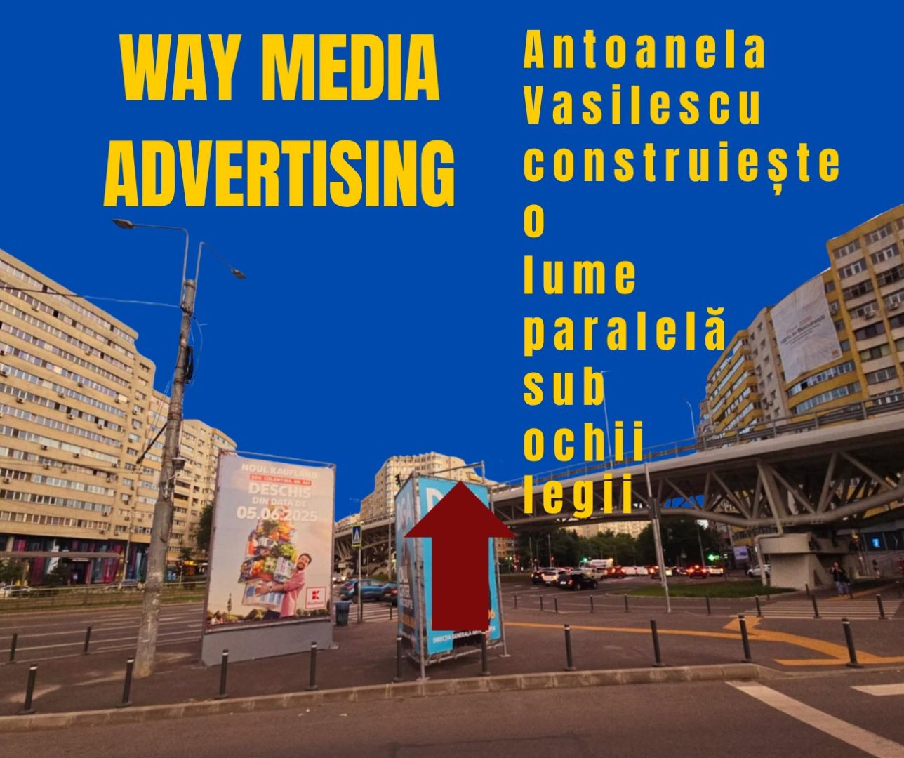Way Advertise Production SRL: Antoanela Vasilescu și Controversele Publicității fără Avize în 2025